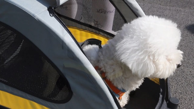 Amazon.co.jp: BingoPaw ペットカート 小型犬 多頭 おしゃれ